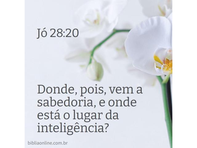 Sabedoria divina