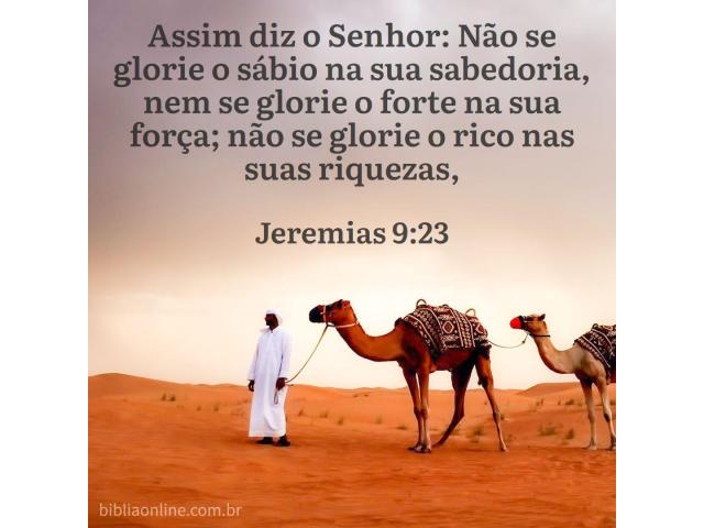 Excelência pessoal