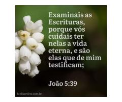 Ler e investigar