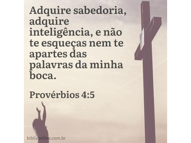 Verdadeira educação