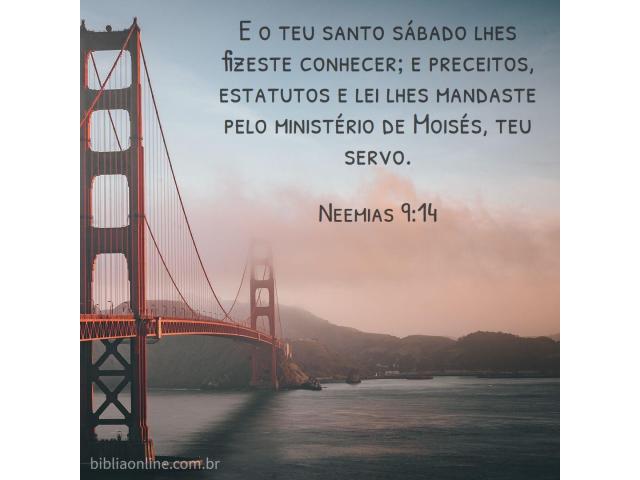 Um dia para toda a humanidade