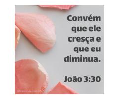 “Convém que ele cresça...”