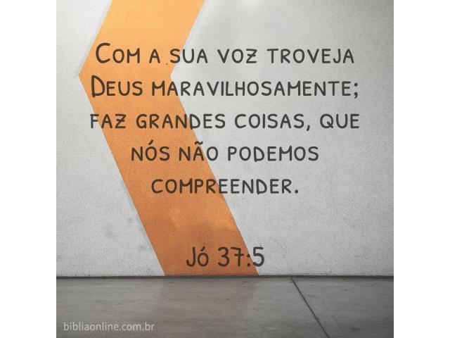 Um dia literal Um dia literal