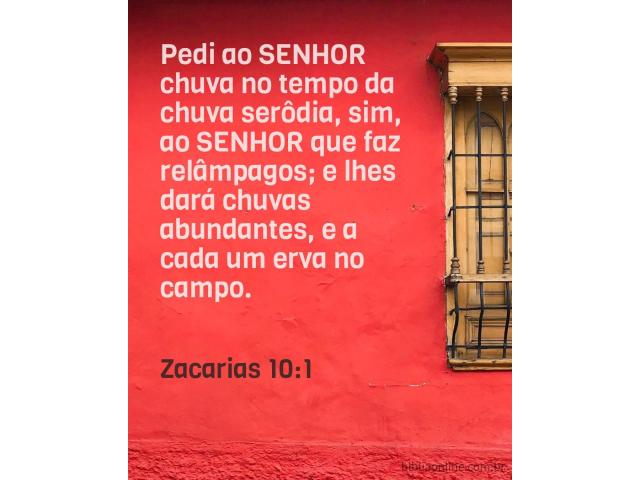 Derramamento da chuva serôdia