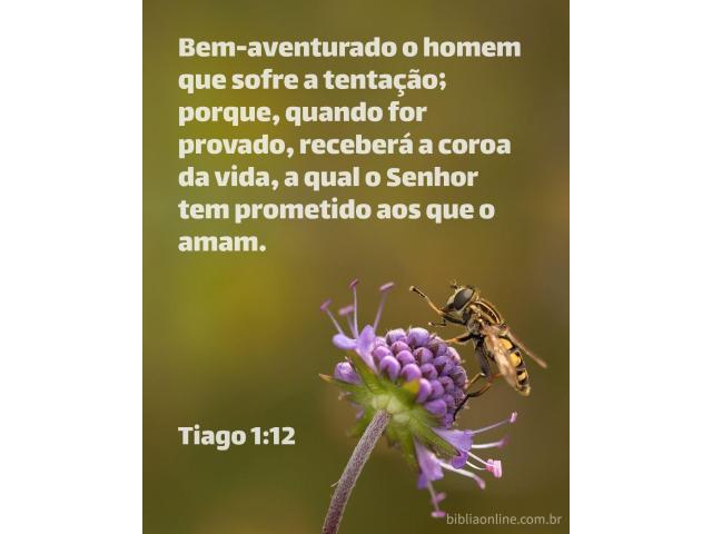 Uma coroa para cada santo