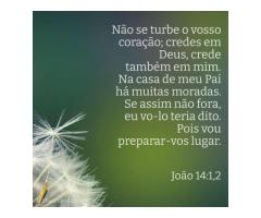 Onde está o tesouro?