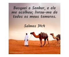 Cristãos resplandecentes Cristãos resplandecentes