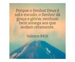 Deus nos concede o que precisamos Deus nos concede o que precisamos