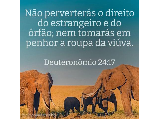 Não explore o próximo