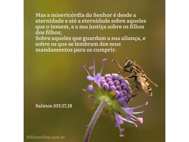 A genuína misericórdia A genuína misericórdia
