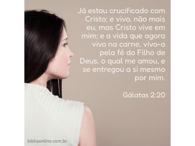Novo estilo de vida Novo estilo de vida