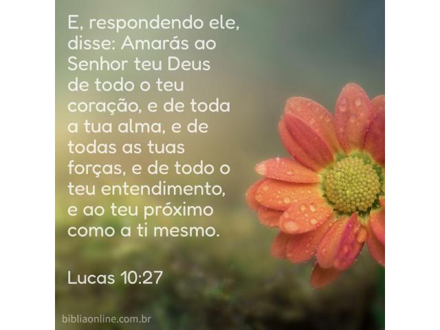 Comprometimento sincero Comprometimento sincero
