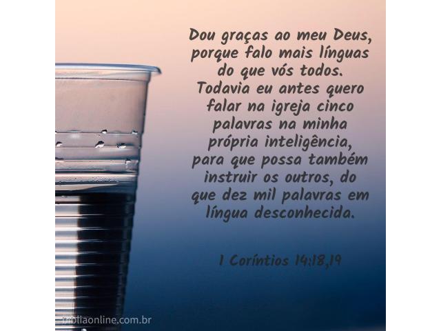Fanatismo e barulho Fanatismo e barulho
