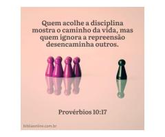 Esforços contra o pecado Esforços contra o pecado