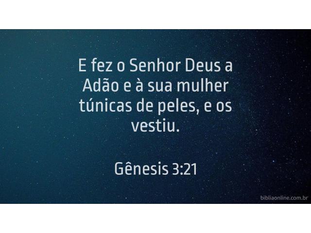 Folhas de figueiras ou o manto de Cristo?