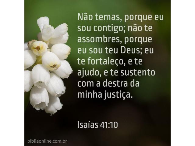 Enfrentando as dificuldades Enfrentando as dificuldades