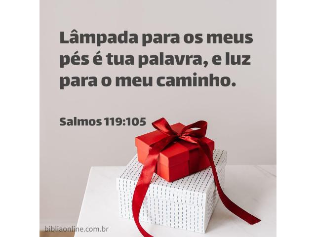 A Bíblia, luz para meu caminho