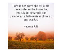 Amar a Cristo