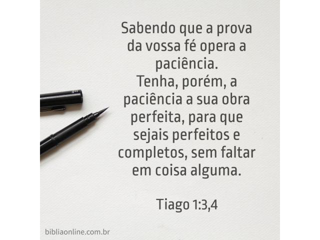 A perfeita obra da paciência