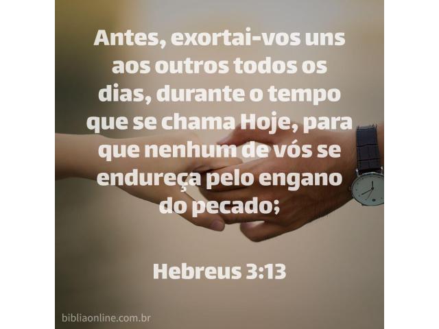 A causa de todas as nossas desgraças