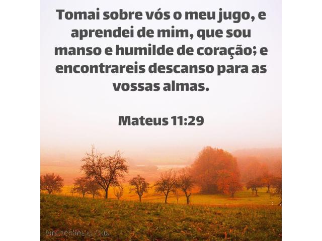 “Aprendei de mim” “Aprendei de mim”