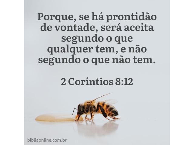 A verdadeira força de vontade A verdadeira força de vontade