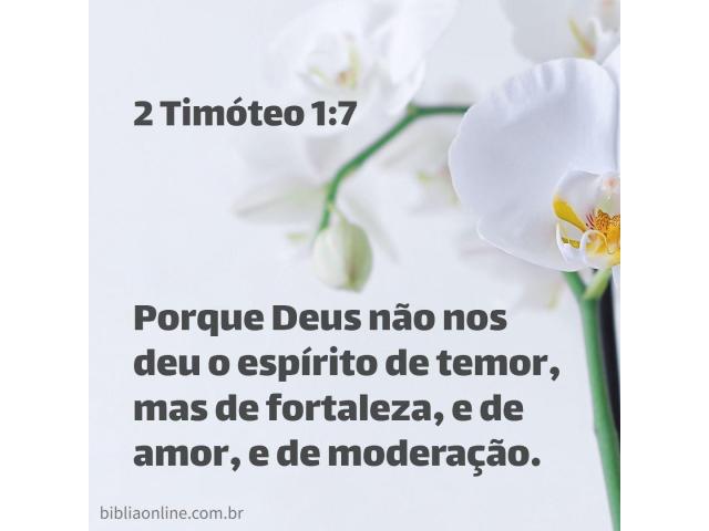 Influência da mente sobre a mente Influência da mente sobre a mente