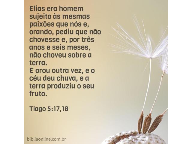 Oração humilde, perseverante Oração humilde, perseverante