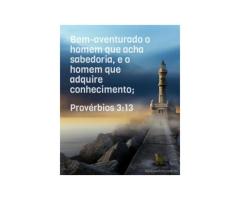 A cultura mais elevada