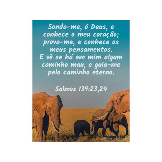 Cristo em todos os nossos pensamentos