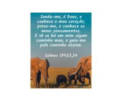 Cristo em todos os nossos pensamentos