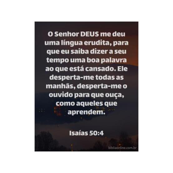 Palavras bondosas e corteses