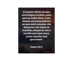 Palavras bondosas e corteses