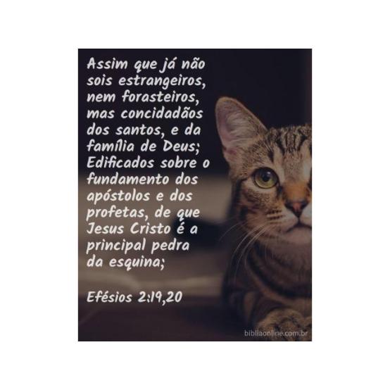 Membros da família de Deus