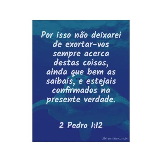 Nossa alta vocação