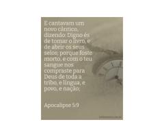 Junto à árvore da vida