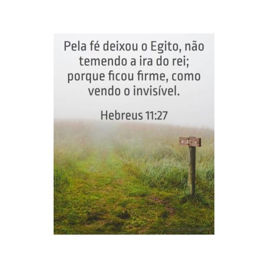 Vendo o invisível