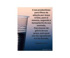 Filhos e filhas adotivos