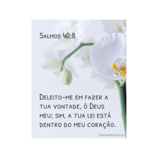 Bênçãos através da obediência