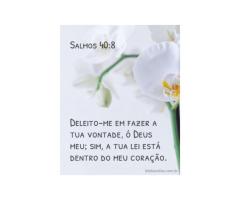 Bênçãos através da obediência