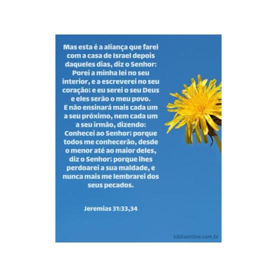 Escrito no coração