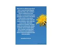 Escrito no coração