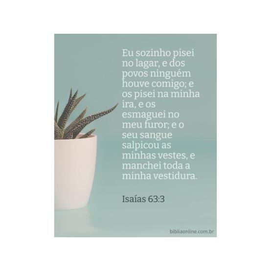 Indescritível solidão