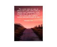 Tão cara — Todavia gratuita