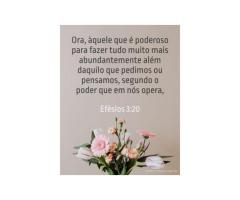 A divisa do cristão