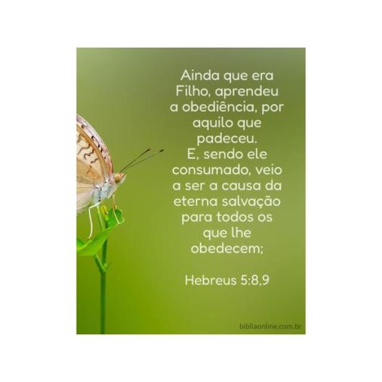 Uma vida de humilde obediência