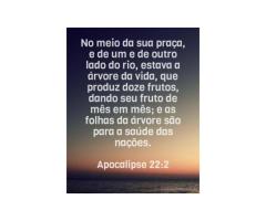 As folhas da árvore da vida
