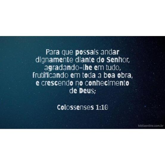 A verdade como um princípio