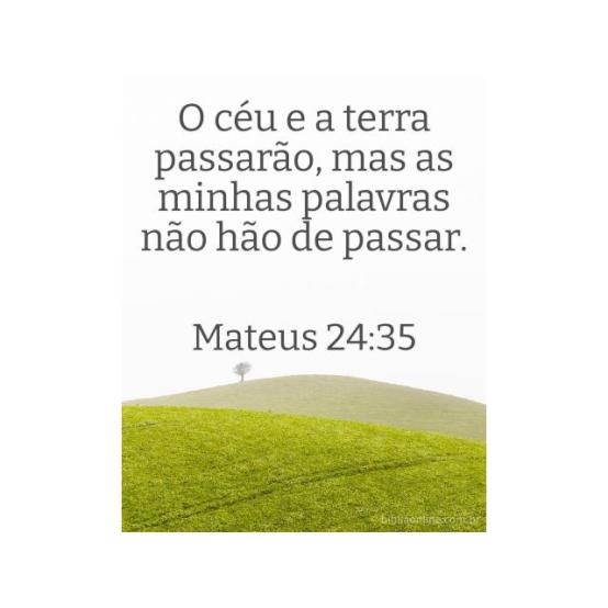 O livro eterno