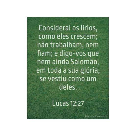 A natureza fala de Deus